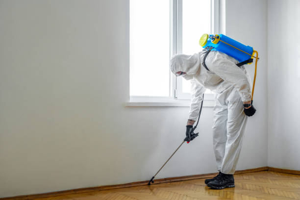 Best Ant Control Services  in Old Stine, CA