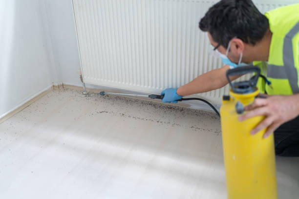 Best Pest Removal Services  in Old Stine, CA