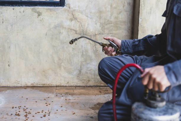 Best Best Pest Control Companies  in Old Stine, CA